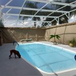 Windermere FL Pool Enclosure Privacy